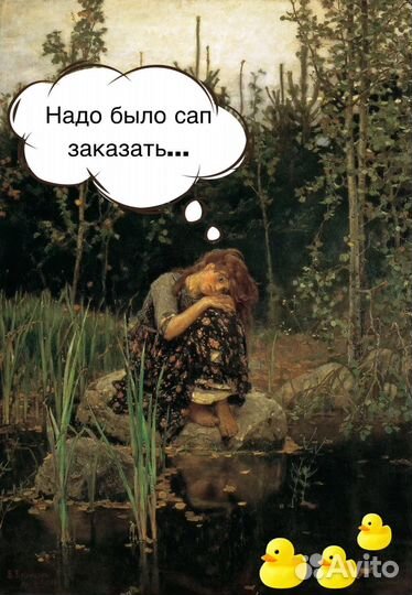 Сапборд сап доска