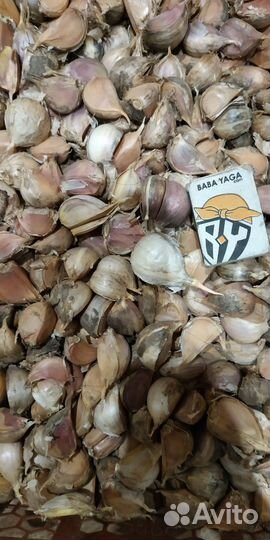 Чеснок дробленый