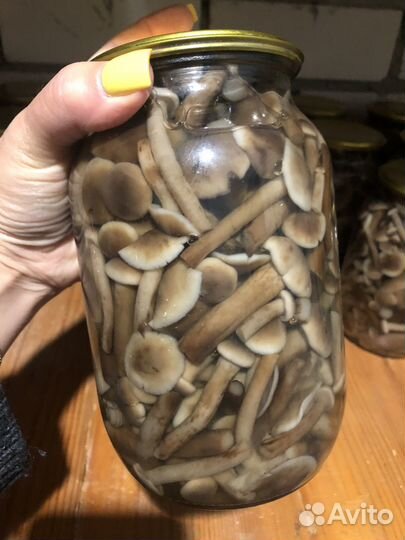 Грибы опята маринованные