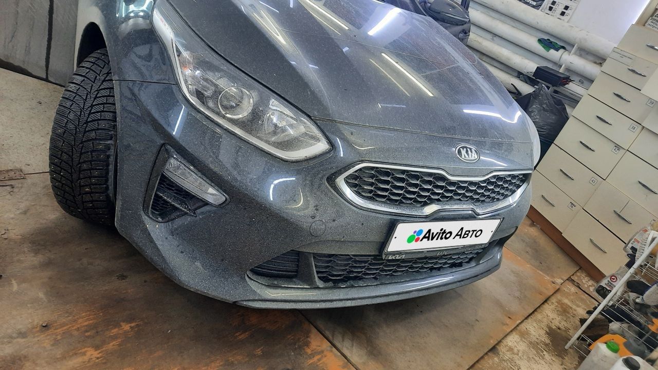 Kia Ceed: фото владельца