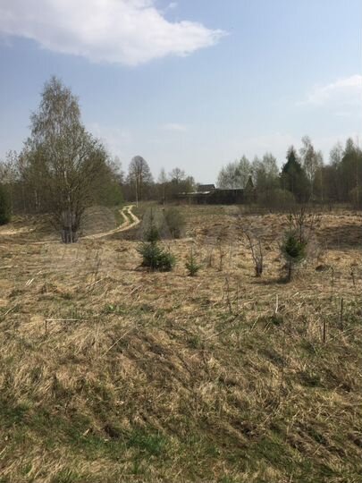 Участок 15 сот. (ИЖС)