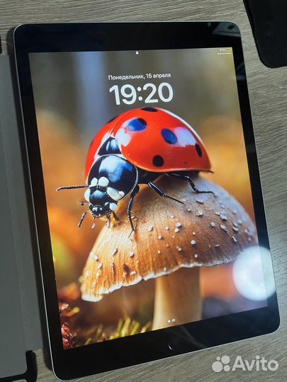 iPad 10.2 2021 + apple pencil