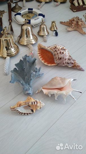 Ракушки Коллекционные Кораллы Рынды Штурвалы и др