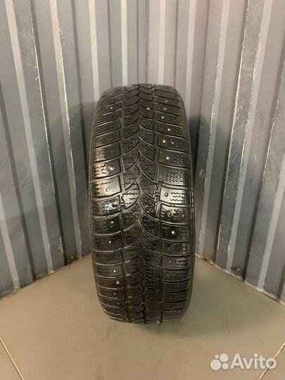 Tigar Sigura Stud 175/65 R14 82T