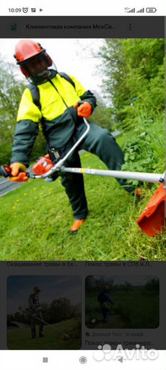 Сад благоустройство