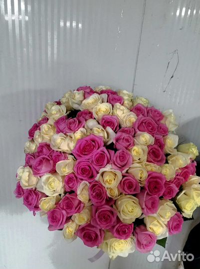 Букет роз. Розы 101 шт