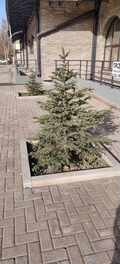 2-к. квартира, 53 м², 4/7 эт.