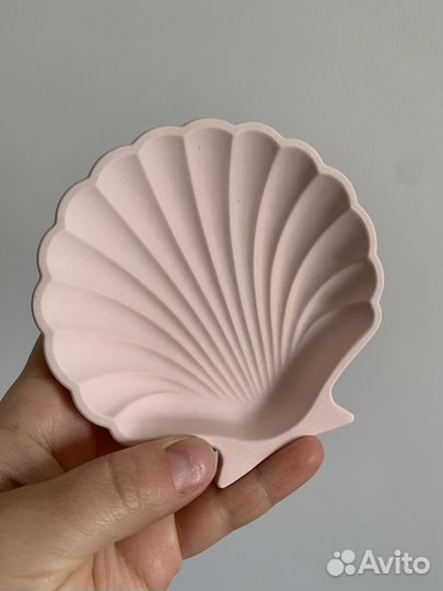 Ракушка из гипса