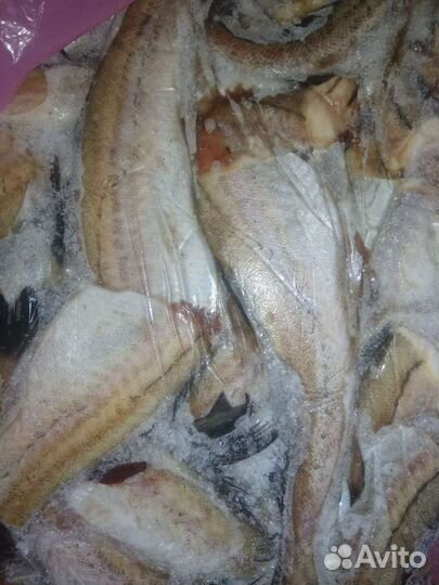 Свежая рыба