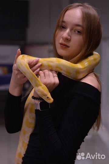 Змея для фотосессии