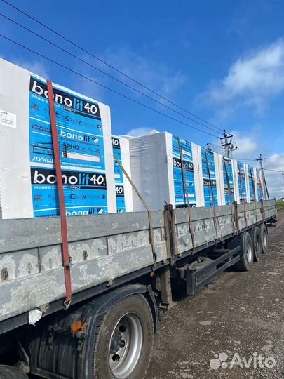 Газоблок 200