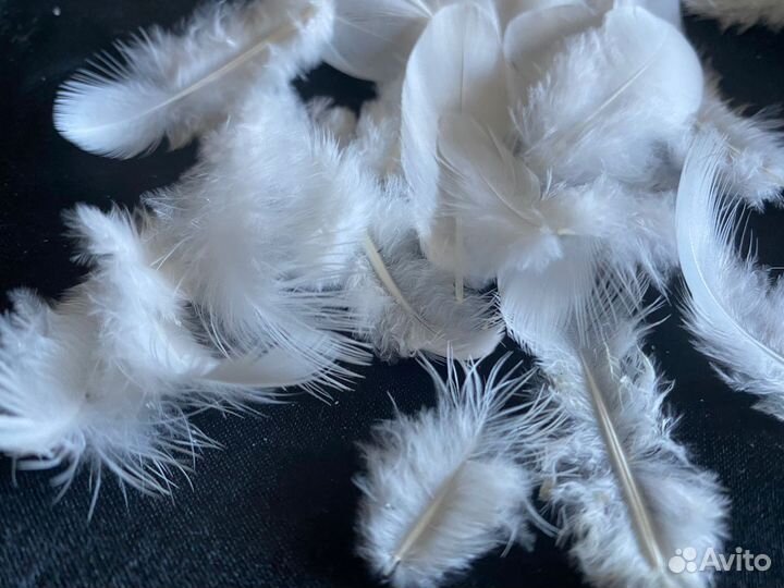 Перья белые