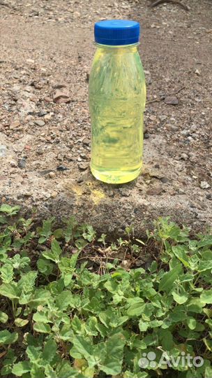 Дизельное Топливо Летнее