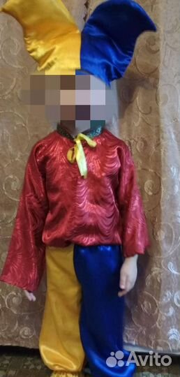 Костюм петрушки