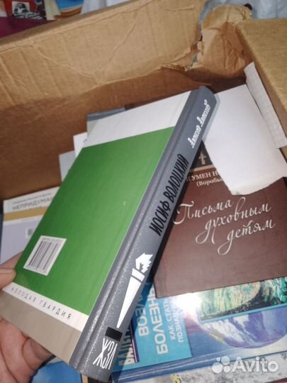 Иосиф Волоцкий, Алексей Алексеев, Жзл,2014 г