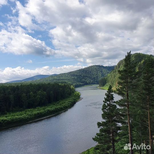 Корпоративы на сап бордах supboard сапборд