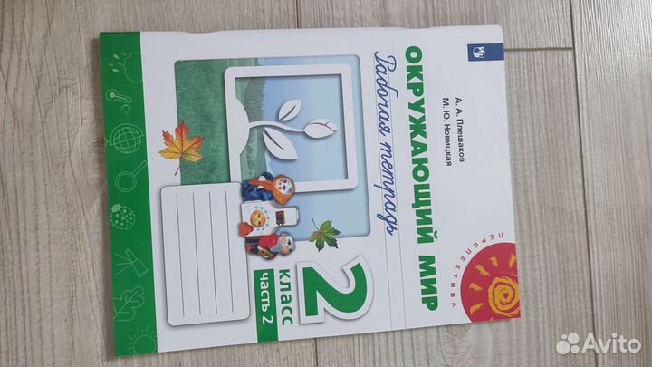 Рабочая тетрадь 2 класс окружающий мир