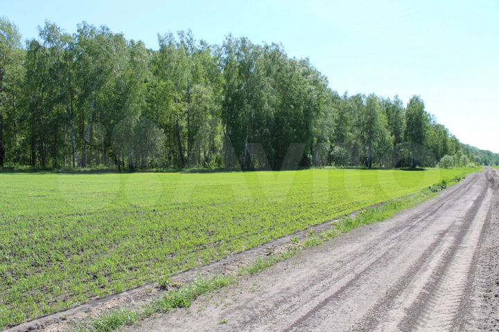 Участок 5,7 га (СНТ, ДНП)