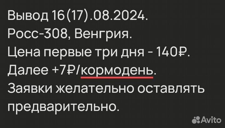 Цыпленок бройлер Росс 308