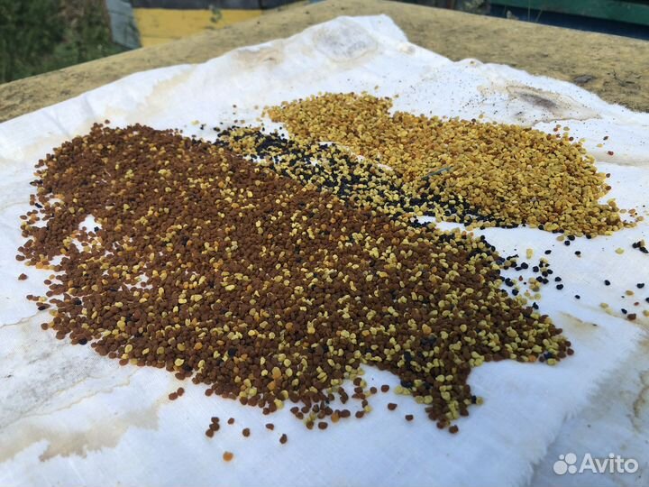 Мед 10литров