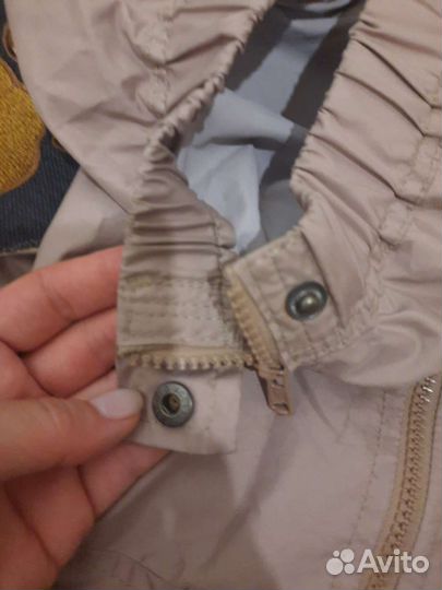 Одежда для крупных собак