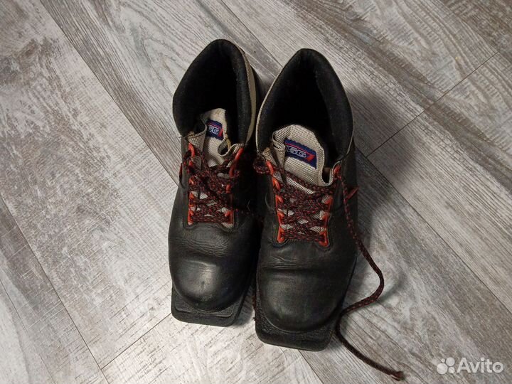 Лыжные бртинки