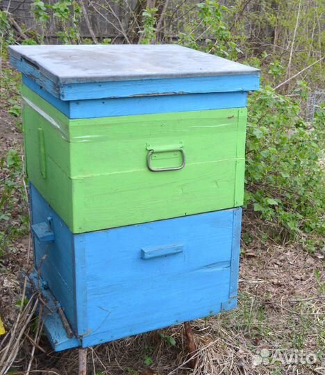 Ульи дадан для пчел