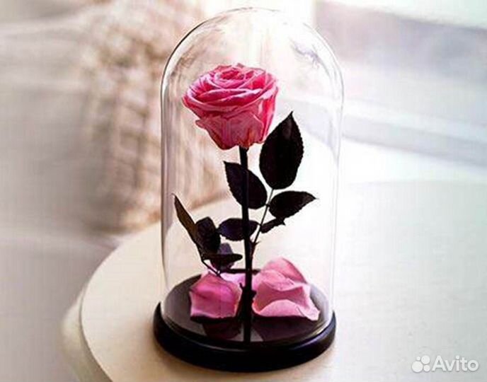 Вечная роза в колбе