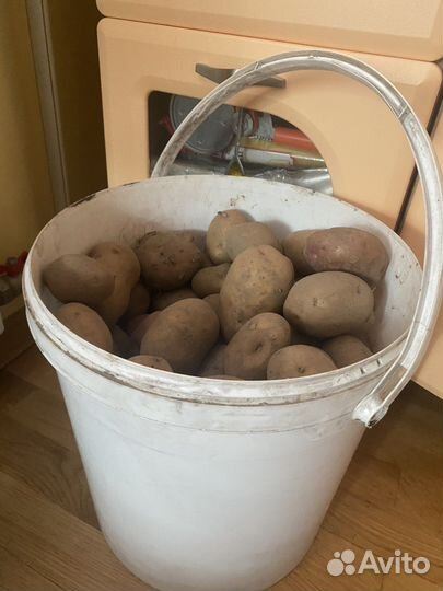 Картофель частный