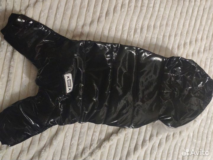 Комбинезон для маленькой собаки