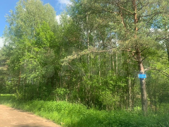 Участок 10 сот. (ИЖС)