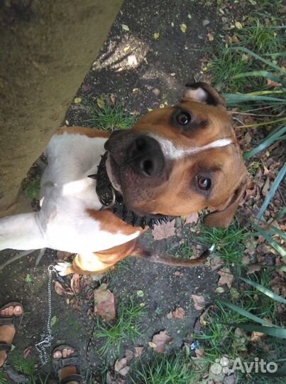 Бесплатная вязка