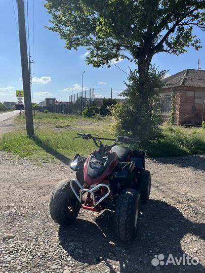 Stels Atv 50