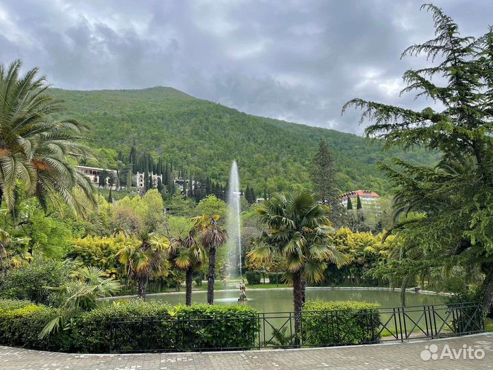 Индивидуальные экскурсии по Абхазии,Сочи, К.Поляне