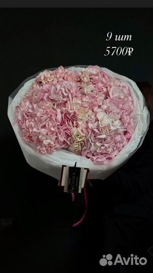 Гортензия к 8 марта