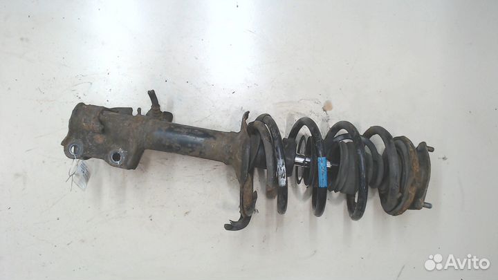 Амортизатор подвески Nissan Almera N16, 2002
