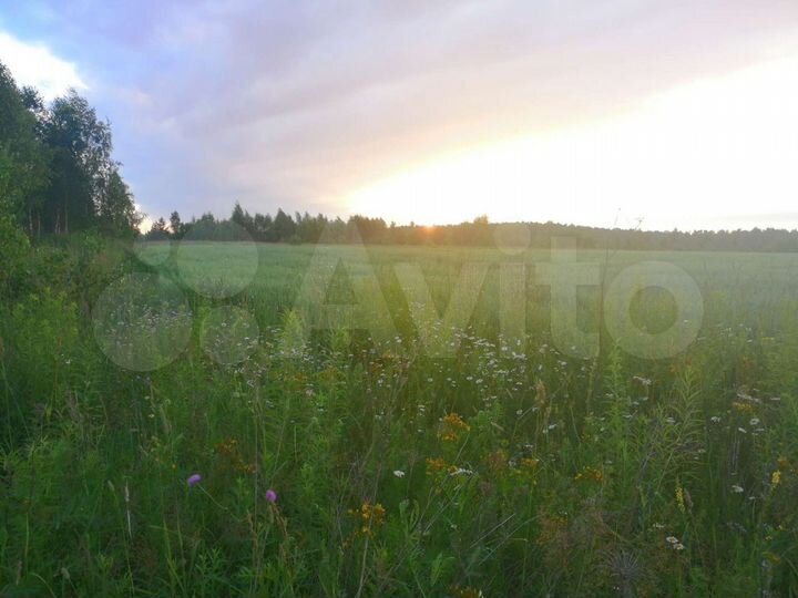 Участок 4,5 га (СНТ, ДНП)