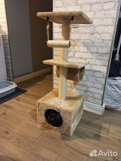 Когтеточка для кошек бу