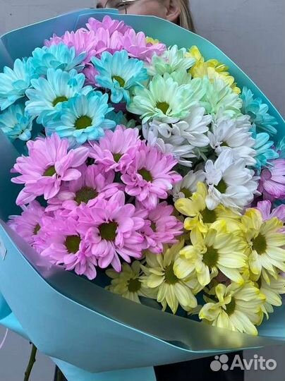 Хризантема. Ромашки