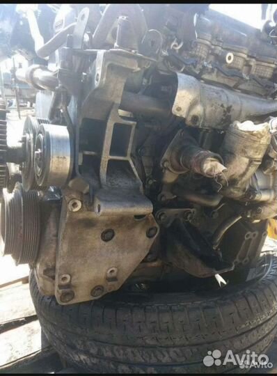 Двигатель Ниссан Навара 2,5cdi (d25)