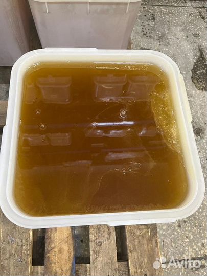 Мед эспарцет оптом