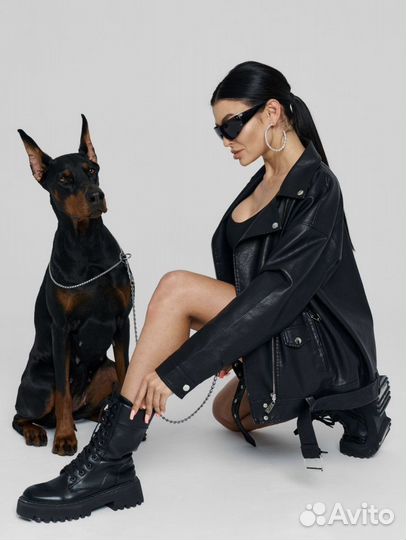 Доберман для фотосессии