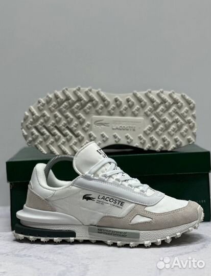 Кроссовки Lacoste premium