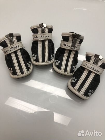 Обувь для собак