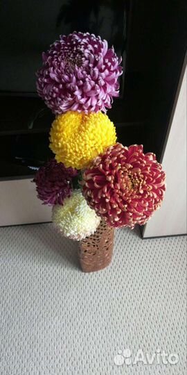 Рассада, цветы, ягоды,кустарники