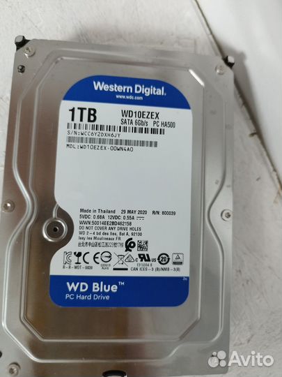 Жесткий диск 1 тб wd blue