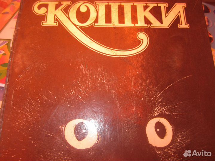 Книга кошки