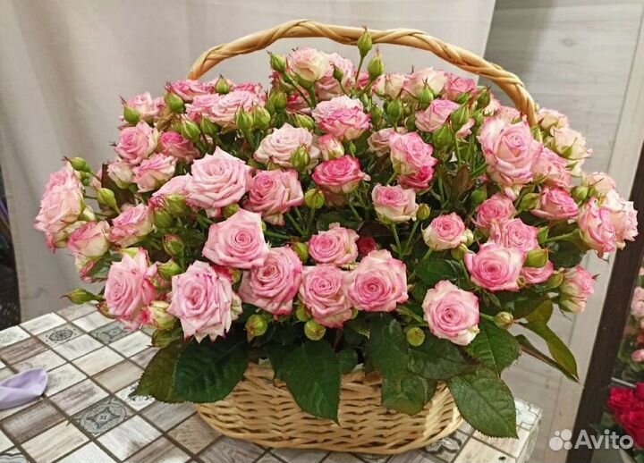 Роза 55, 101 букеты-гиганты