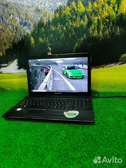 Шустрый ноутбук Packard bell для работы и учёбы