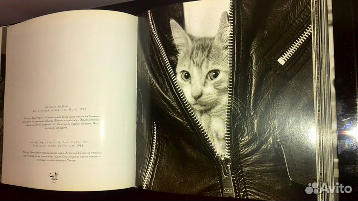 Большая книга кошек. Составитель Ж.К.Суаре